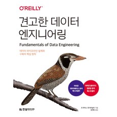 견고한 데이터 엔지니어링:데이터 파이프라인 설계와 구축의 핵심 원칙, 한빛미디어, 견고한 데이터 엔지니어링, 조 라이스, 맷 하우슬리(저) / 김인범(역)