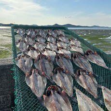 여수바다 해풍 반건조 민어 급냉 염장처리, 1개, 자연해풍 반건조 민어 1세트(4미) 800g