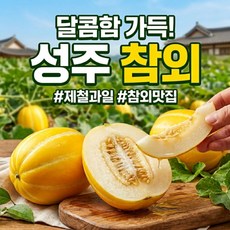 [가격끝판왕] 제철 과일 성주 참외, 1박스, 5kg