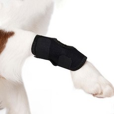 반려견 관절 보호대 슬개골 보조 M사이즈