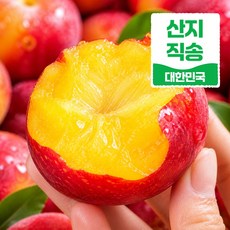 [자두만30년] 꿀자두 대석자두 햇자두 제철자두, 1박스, 1kg (중과)