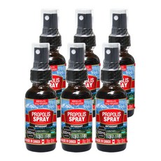 통라이프-플라보노이드500mg- 프로폴리스 스프레이30ml-구강 향균작용 항산화에도움-6병, 30ml, 6개