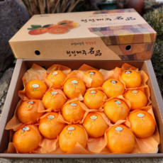 제주직송 한라봉 천혜향 레드향 가정용 프리미엄 선물세트, 천혜향 선물용 특상품 선물세트 3kg, 1개