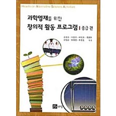 창의적 활동 프로그램 중급편(과학영재를위한), 북스힐, 손정우 등저