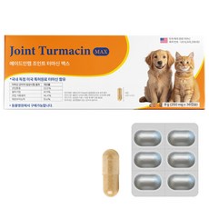메이드인랩 강아지 관절 슬개골 영양제 조인트 터마신 맥스, 1세트, 뼈/관절강화, 36정