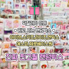 아이브 에스파 엔믹스 라이즈 스키즈 제로베이스원 랜덤박스 아이돌 비공굿 도무송 포토카드