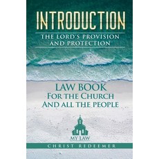 (영문도서) Introduction the Lord's Provision and Protection Paperback, MS Lynn Katchmark, English, 9781958400074