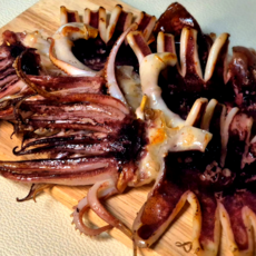 집앞산지 쫄깃 오동통 반건조 오징어, 1개, 1.4kg ~1.6kg (10미)