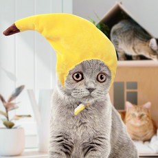 펫 모자 애견용품 담아보리 모자바나나 액세서리