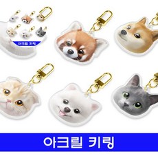 sugarcat멍냥이 아크릴 키링