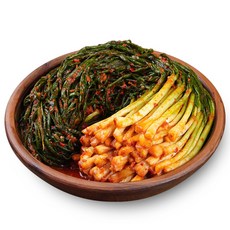 [민이네식탁] 100% 국내산 전라도 파김치, 1개, 1kg