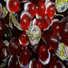 장수풍뎅이 사슴벌레 전용 곤충젤리 먹이 음식 100 50 20개 모음 참좋은굼벵이 농장, 메가벅스 브리딩젤리 50개, 50개, 메가벅스 브리딩젤리