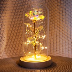 유리돔 LED 장미꽃 무드등 기념일선물, 실버