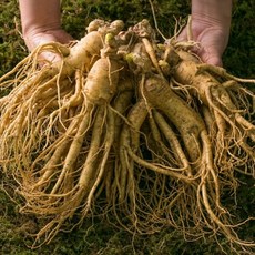 국내산 무세척 난발삼 중, 1kg, 1개