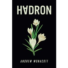 (영문도서)Hadron Paperback, Andrew Wonacott, English, 9798232500887
