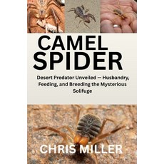 (영문도서)Camel Spider: Desert Predator Unveiled - Husbandry Feeding and Breeding the My... Paperback, Independently Published, English, 9798272597380