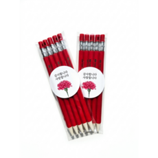 트렌드볼트 채점용 빨간펜 선생님 감사 선물 빨간 색연필 소포장 완제품 스승의날 선물 5개입, 2세트, 1색