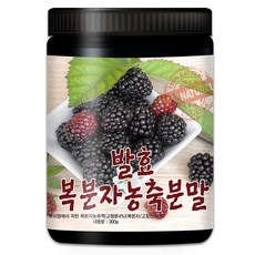 산들약초 발효복분자농축분말 국산 고창산 복분자, 1개, 300g
