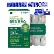은행잎추출물 은행잎 플러스 30정 기억력 혈행 밸런스 징코 플러스 5박스 (총150정입니다), 150개, 1정