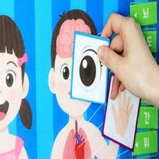 해피팜 소중한 나의 몸 배우기 벽보 5세홈스쿨링