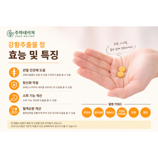 주하네이쳐 커큐민 강황추출물정 관절염 잇몸염증 치주염 잇몸출혈 만성염증 항산화 부모님건강 관절건강, 2개, 60정
