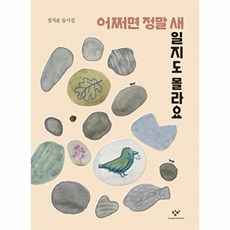 어쩌면 정말 새일지도 몰라요 (정지윤 동시집), 창비, 없음