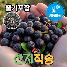더맛곳간 국내산 고창 생 아로니아 국산 생과 시즌 종료 시 냉동 발송, 1개, 상품 10kg