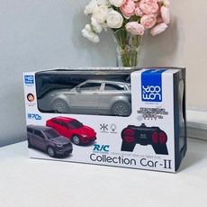 RJSC 컬렉션카디자인랜덤