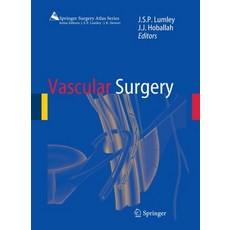 (영문도서) Vascular Surgery Paperback, Springer, English, 9783662496022