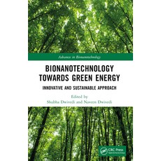 (영문도서) Bionanotechnology Towards Green Energy: Innovative and Sustainable Approach Paperback, CRC Press, English, 9781032327181