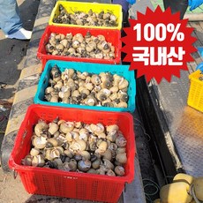 100%국내산 당일조업 자숙 급냉 흑골뱅이(흑고동), 1박스, 1kg(자숙후 700g 내외)