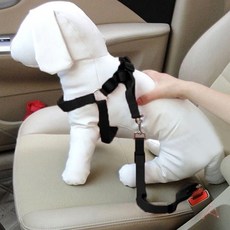 반려동물 차량용 안전벨트 블랙 끈