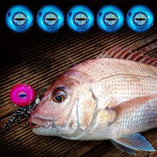 어복 대용량 빅아이 타이라바헤드, 5개, 40g, 블루