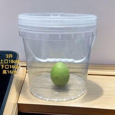 10L食品級加厚密封手提透明水桶, 透明, 1個