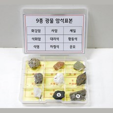 암석표본 9종 광물 관찰 탐색 과학 교구 방과후 학습 준비물 연구 늘봄 수업, 1개