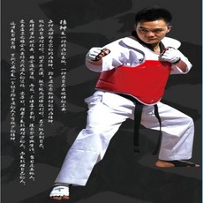 YUANWUDAO 跆拳道護胸護甲 散打拳擊實戰訓練護具, 1個, 5號