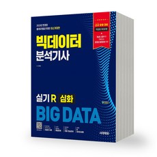 빅데이터분석기사 실기 R 심화 시대고시, 제본안함