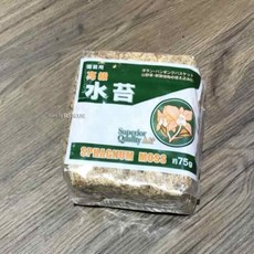 딜로그샾 건조수태 난관리용 수태 75g, 1개