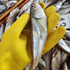 묵호항 직송 알도루묵 450~550g - 알이 가득 고소한 겨울 별미! - 알배기 랜덤 구성, 1세트, 급냉 알도루묵450g~550g (5-7미)