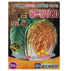 황금배추 씨앗 500립 라이코펜 함유 김장 절임 품종, 1개