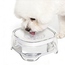 반자동 필터형 급수기 2L 대용량 물그릇 DSW03, 1개, 화이트