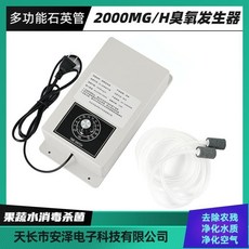 桃園出貨 多功能活氧殺菌消毒機 110V 2000MG臭氧發生器 水處理 魚缸家用果蔬機 淨化水質, AC110V
