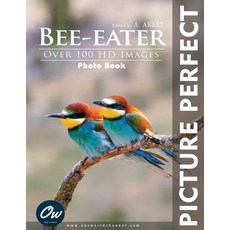 (영문도서)Bee-eater: Picture Perfect Photo Book Paperback, Independently Published, English, 9798290435138