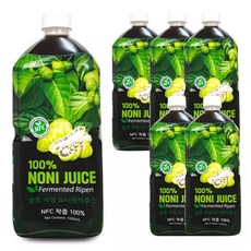 파모빗 베트남 발효 숙성 노니원액 주스 100 1L 6개