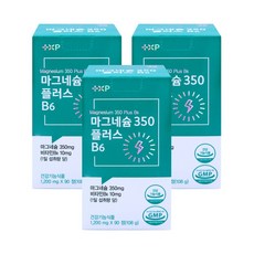 무거운 몸과 담 결림 눈 밑 떨림 신경통 완화에 고함량 글루콘산 마그네슘 350mg + B6 10mg 가성비 90일분, 3개, 90회분