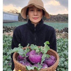 제주에서 농부가 보내는 단맛 콜라비 특상품 3kg 5kg 10kg, 1박스