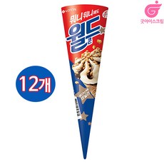 롯데 월드콘 24개, 160ml, 12개