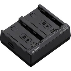 SONY 索尼 BC-ZD1 NP-FZ100 雙槽電池充電器, 1個