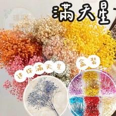 【璟采職人】滿天星 霞草 夢幻草 花材 乾燥滿天星 乾燥花材 乾燥花 不凋花 永生花 仿真花 乾燥花花材 捧花 拍照道具, 【大把】霞草-草綠(20克/束),【1束或盒】我已詳閱內文1-7點注意事項