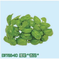 野菜部屋 香妃羅勒芽菜種子 100公克, 1包